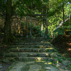 torii