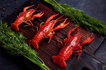 Boiled cooked crayfish crawfish ready to eat on dark wooden background. Copy space. Overhead.