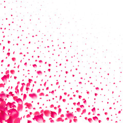 Pink falling petals of roses. Sakura flower pastel texture background.