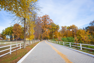 Pasture in the open air. Golden autumn.