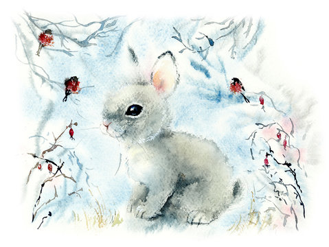 Winter hare with bullfinches. Decoration with wildlife scene. Watercolor hand drawn illustration