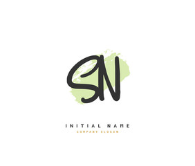 S N SN Beauty vector initial logo, handwriting logo of initial signature, wedding, fashion, jewerly, boutique, floral and botanical with creative template for any company or business.