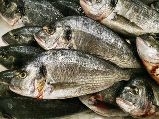 Dorada, fresh fish, sale in the store. Diet food. Mediterranean food