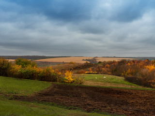 Obraz premium Autumn rural landscape. Low cumulus clouds before the rain. Trees and shrub with beautiful autumn foliage. Selective focus.