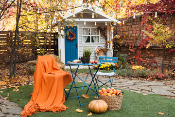 Autumn country yard or garden with cozy table