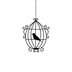 hand drawn wedding birdcage collections