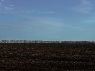 Fototapeta na wymiar Arable land in the fall. Field after harvest against a clear autumn sky.