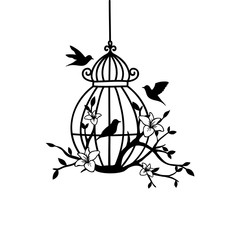 hand drawn wedding birdcage collections