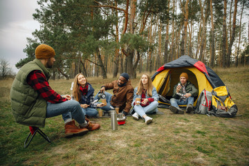 Group of friends on a camping or hiking trip in autumn day. Men and women with touristic backpacks having break in the forest, talking, laughting. Leisure activity, friendship, weekend. Eat and drink. - obrazy, fototapety, plakaty