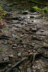 rocky trail 