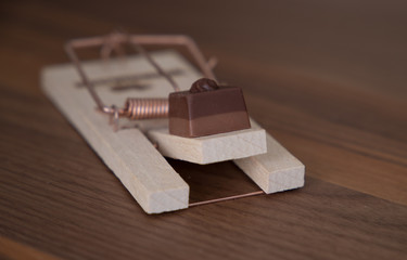 chocolate on a mouse trap