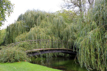 A bridge over a river surrounded by weeping willow trees