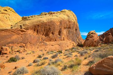Fototapeta premium Sansteinformationen im Valley of Fire, Nevada