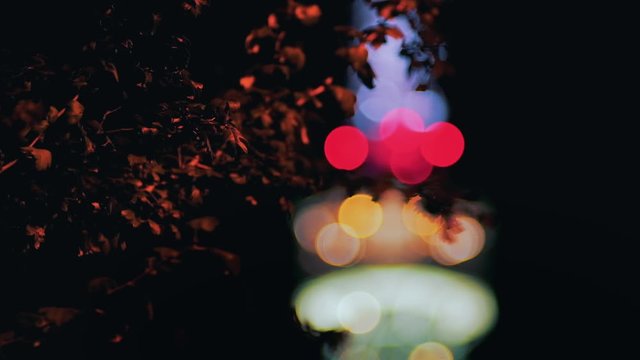 Prague, Czech Republic - September 2019: Close up of tree with defocused Petrin Lookout Tower in background. 4K resolution.