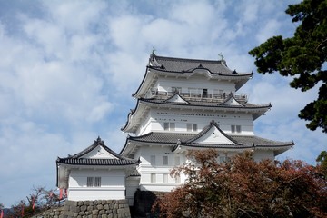 Fototapeta premium Medieval castle, Odawara, Japan