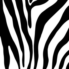  vector illustration colored lines, stripes, animal hair drawing