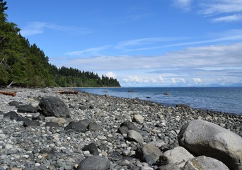 Fototapeta na wymiar shoreline landscape and beach at Seal Bay Nature Park, Courtenay Comox Valley Vancouver Island, BC Canada