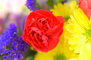 Fototapeta na wymiar Red flowers in a bouquet