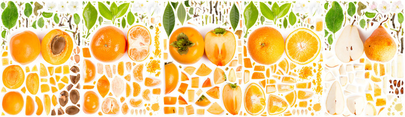 Orange Fruit Slice and Leaf Collection