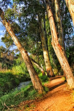 Green landscape by the Tuejar river in Chelva