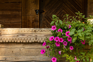 Fototapeta na wymiar rustic rural house wooden exterior garden yard porch frame and pink flower bed foreground 