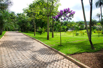 Inhotim Institute Garden. Brumadinho / MG, Brazil