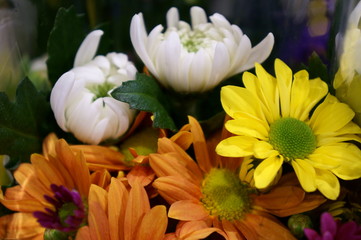 Obraz na płótnie Canvas Chrysanthemum and other flower bouquets