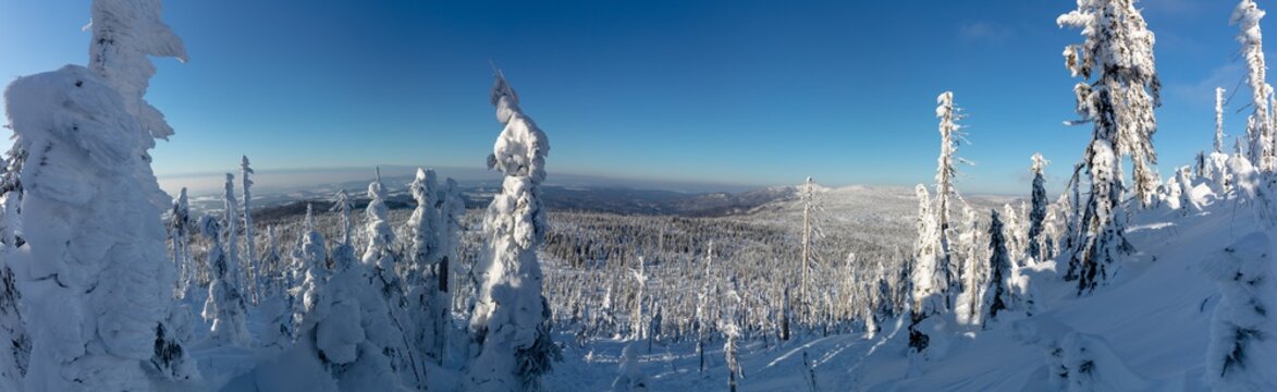 Winter hiking trail panorama covered by snow to Mount Lusen summit in the Bavarian Forrest National Park