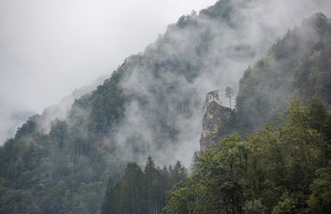 Beautiful foggy weater in Austria