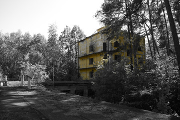 Yellow abandoned building in the middle of forest