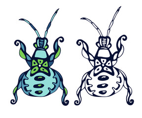 Beetle vector illustration in outline and color vector design.
