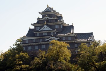 Obraz premium Medieval castle, Okayama, Japan