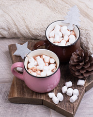 Fototapeta na wymiar cup of hot chocolate with cinnamon and marshmallows