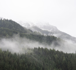 Foggy day with snow on the mountains behind - Austria