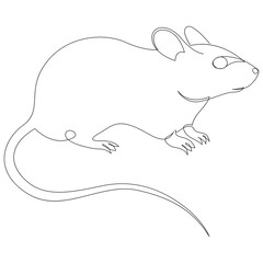 Continuous one line drawing of rat or mouse. Vector