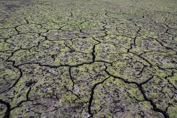 Dry lake bottom .The dry pond bottom .Water left the pond. Drainage of a reservoir.