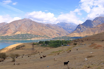 Charvak water reservoir near Tashkent in Uzbekistan