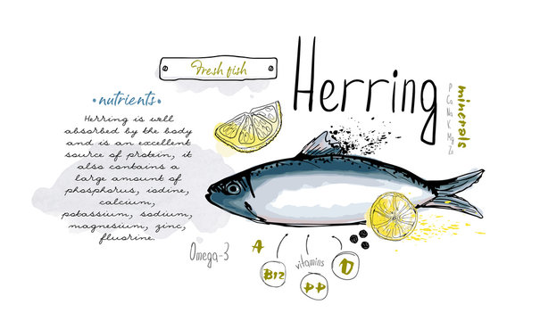 Fish hand drawn set watercolor ink, food vitamin menu restaurant, sketch cartoon vector illustration