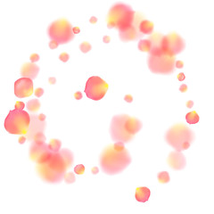 Rose gold petals flying cosmetics vector background.