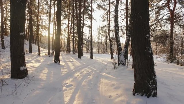 Driving on snow covered road in winter forest at sunset. The sun comes from the trees