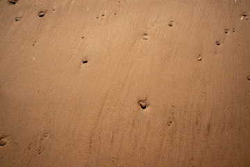 Fototapeta na wymiar Close up of beach sand and pebbles