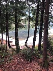 Lake Cowichan through the trees