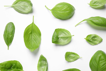 Fresh green basil leaves on white background, top view