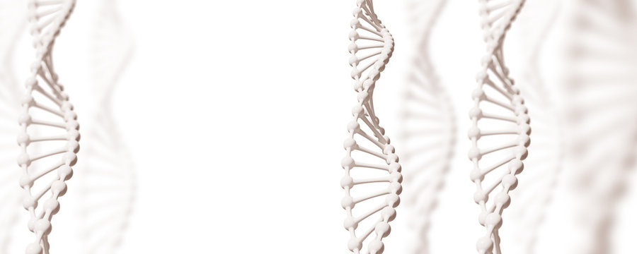 White DNA structures over white background.
