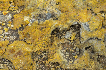 Bright yellow soil corrosion top view