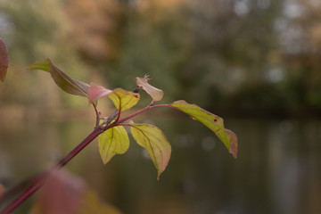 Jede Jahreszeit birgt ihre besonderen Schätze
