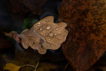 Jede Jahreszeit birgt ihre besonderen Schätze