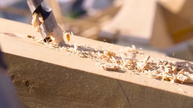 Carpenter with big professional tool is drilling wood beam during remodeling or reconstruction of the house. Clip. Close up of electric drill and wooden shavings.