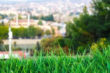 lawn with fresh green grass and the city in the background