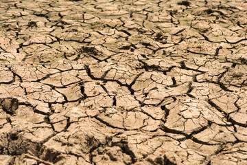 Dried up lake bed due to lack of rain showing dry cracked earth, Kenya, East Africa